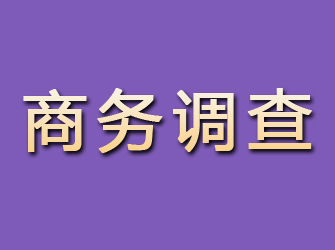 凌河商务调查