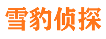 凌河寻人公司